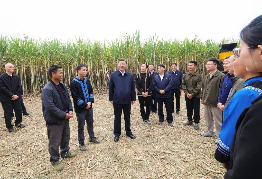 Xi inspecciona ciudad de Laibin de Guangxi en sur de China