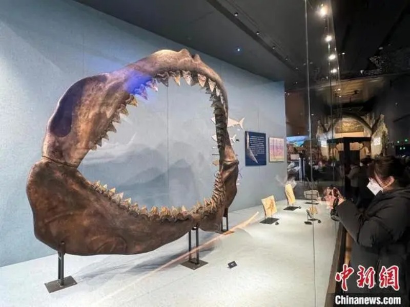 Inauguran en el norte de China uno de los museos naturales más grandes de Asia