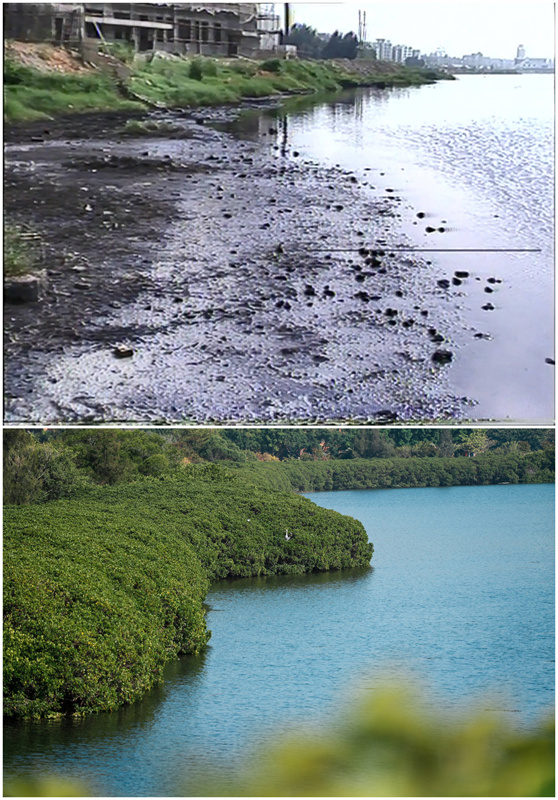 Lago Yundang: de lago contaminado al pulmón verde de la ciudad