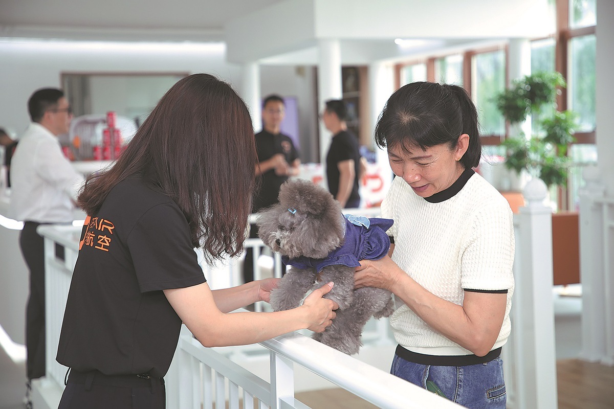 Los trabajadores cuidan a un perro en la sala de mascotas del Aeropuerto Internacional Bao