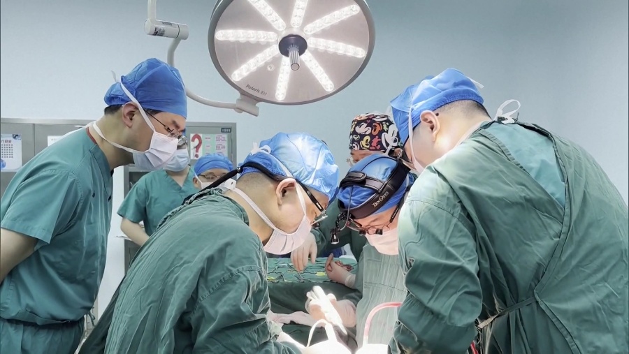  Hígado de cerdo modificado a humano se transplanta con éxito en Anhui