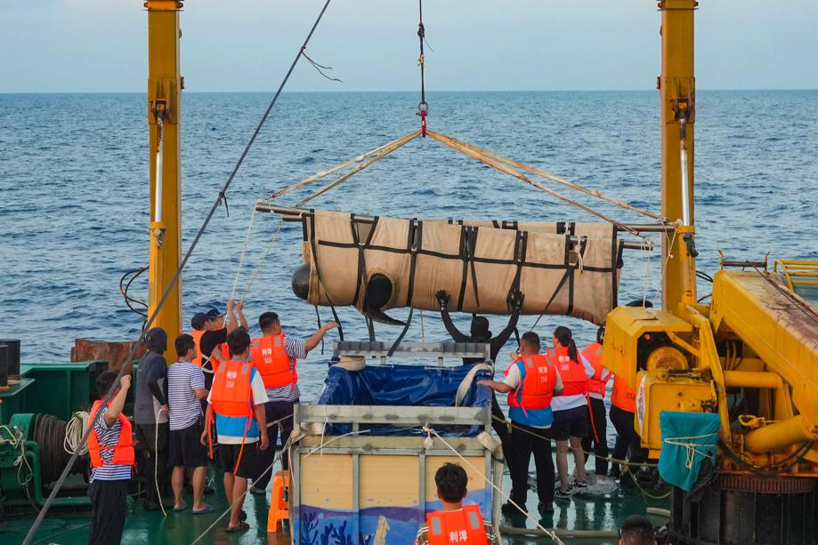  Una ballena piloto de aleta corta regresa al mar frente a Hainan