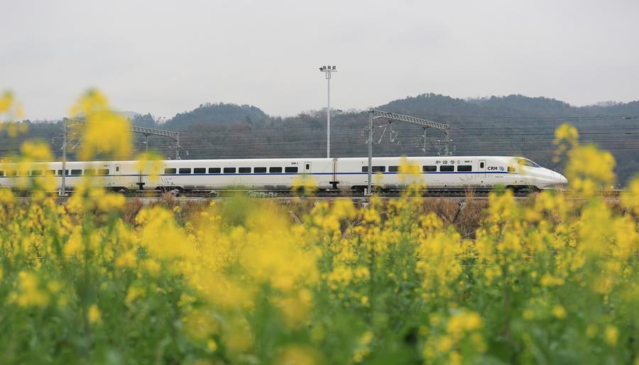 Un tren de alta velocidad recorre una sección del ferrocarril Guiyang-Guangzhou en el distrito de Congjiang, provincia de Guizhou, en el suroeste de China, el 9 de enero de 2024. (Xinhua/Luo Jinglai)