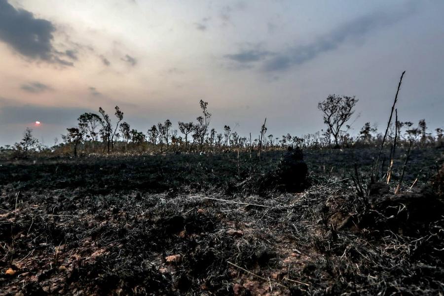 Imagen del 24 de agosto de 2019, proveída por Agencia Estado, de un campo destruido por los incendios en la Amazonía brasileña, en la región de Manicoré, del estado brasileño de Amazonas. (Xinhua/Gabriela Biró/Agencia Estado)
