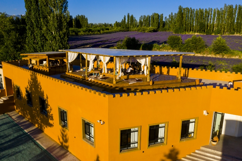 La industria de la lavanda florece en las sosegadas aldeas de Xinjiang