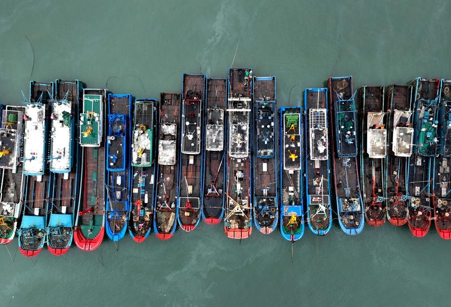 Esta foto aérea tomada el 24 de julio de 2024 muestra barcos pesqueros que se refugian en un puerto del distrito de Lianjiang en Fuzhou, capital de la provincia suroriental china de Fujian, ante la proximidad del tifón Gaemi. (Xinhua/Wei Peiquan)