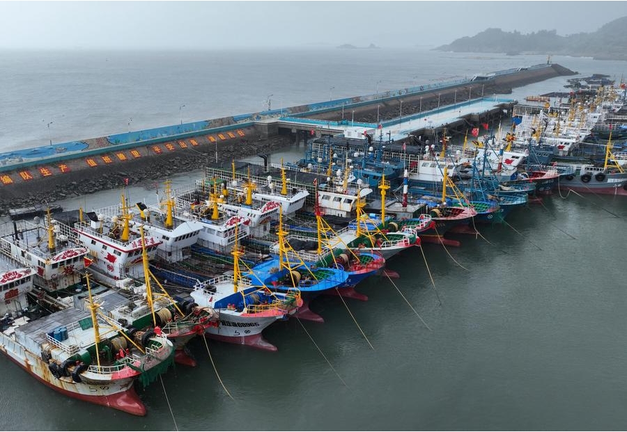 Esta panorámica aérea muestra barcos pesqueros anclados, horas antes de la llegada del tifón Gaemi, en un puerto del distrito de Lianjiang de Fuzhou, capital de la provincia oriental china de Fujian, el 24 de julio de 2024. (Xinhua/Wei Peiquan)