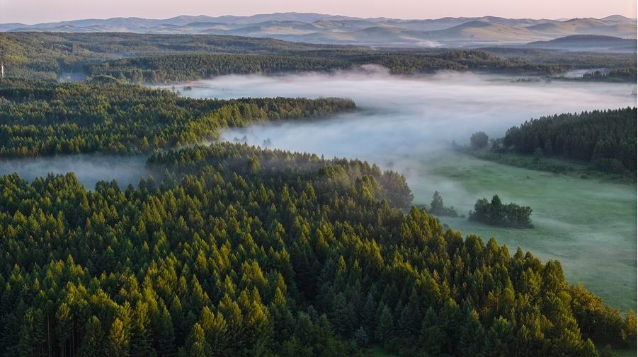 Una vista aérea en las primeras horas del 5 de julio de 2024 del Parque Forestal Nacional de Saihanba, en la ciudad de Chengde, provincia de Hebei, en el norte de China. (Xinhua/Liu Mancang)