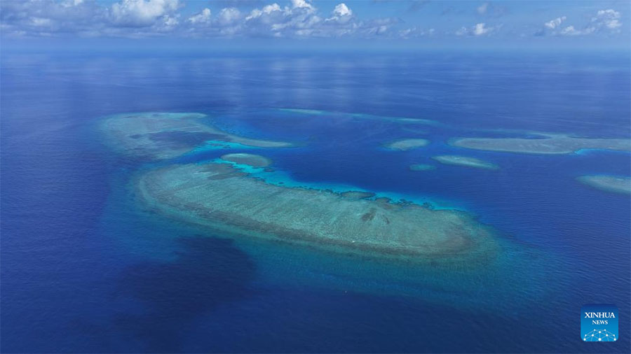 Ecosistema de arrecife de coral Xianbin Jiao de China está en general sano, según informe