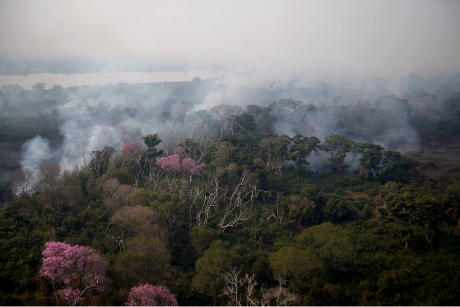 Vista aérea del 6 de julio de 2024 de la región del Pantanal afectada por un incendio, en Corumbá, en el estado de Mato Grosso do Sul, Brasil. (Xinhua/Lucio Tavora) 