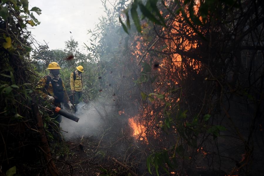 Bomberos trabajan el 7 julio de 2024 para combatir un incendio que afecta la zona de la ribera del río Paraguay en la región del Pantanal, en Corumbá, en el estado de Mato Grosso do Sul, Brasil. (Xinhua/Lucio Tavora)