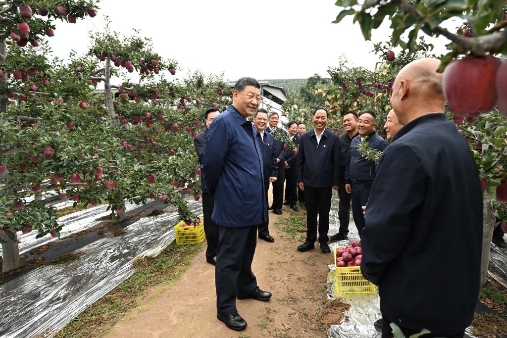 Xi realiza inspecciones en provincias de Shaanxi y Gansu en el noroeste de China