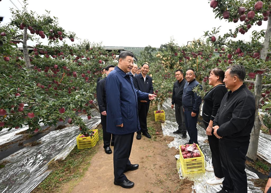 Xi pide profundizar reforma en Gansu para avanzar la modernización china