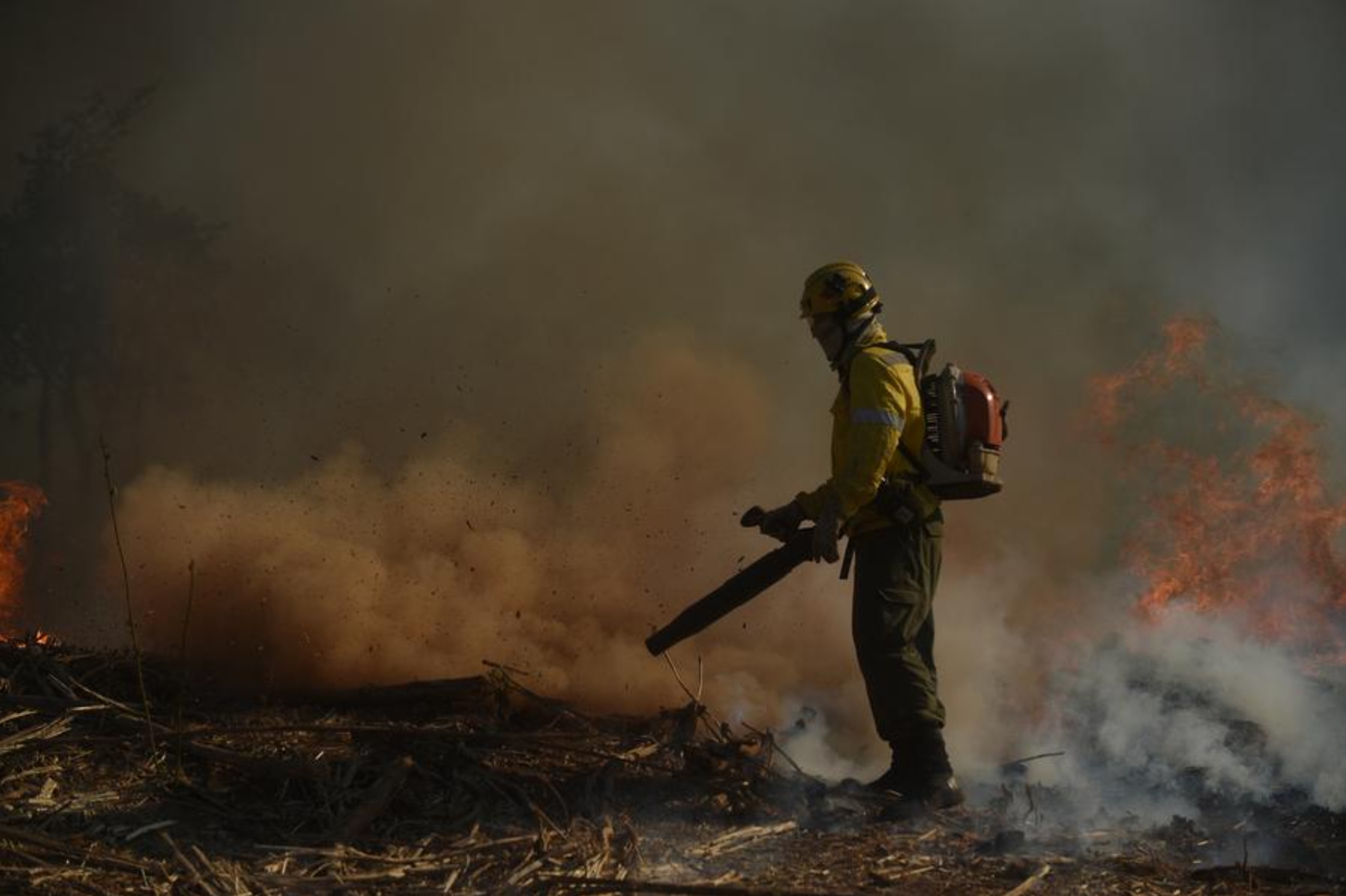 Un bombero combate un incendio forestal en el Parque Nacional de Brasilia, conocido como "Agua Mineral", en Brasilia, Brasil, el 15 de septiembre de 2024. (Xinhua/Lucio Tavora) 