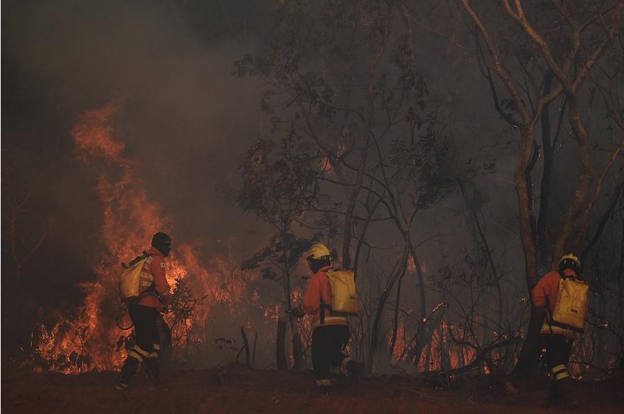 Bomberos combaten un incendio forestal en el Parque Nacional de Brasilia, en Brasilia, Brasil, el 16 de septiembre de 2024. (Xinhua/Lucio Tavora)