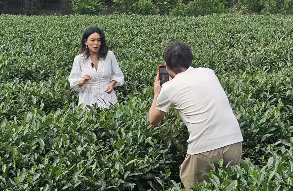 Gozan de la cultura de té en el "Primer Pueblo del Té Verde de China"