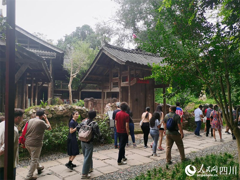 Sichuan: periodistas latinoamericanos visitan lugares emblemáticos del distrito Qionglai