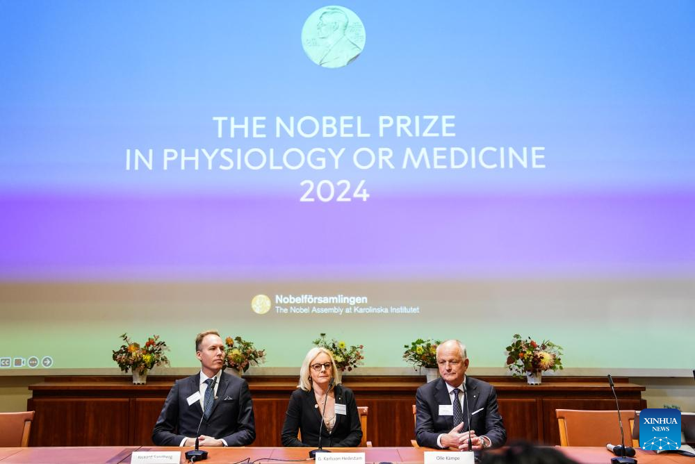 El Premio Nobel de Fisiología o Medicina 2024 es anunciado en el Instituto Karolinska, en Estocolmo, Suecia, el 7 de octubre de 2024. El Premio Nobel de Medicina 2024 fue concedido el lunes a dos científicos estadounidenses, Victor Ambros y Gary Ruvkun, por su descubrimiento del microARN y su papel en la regulación génica postranscripcional. (Xinhua/Peng Ziyang)