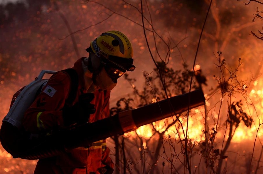 Imagen del 24 de septiembre de 2024 de un bombero trabajando en la extinción un incendio forestal en un área de la Reserva Biológica de Contagem, en Brasilia, Brasil. (Xinhua/Lucio Tavora)