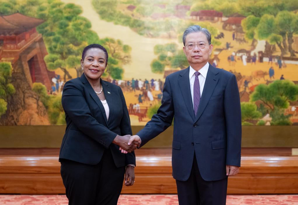 Zhao Leji, presidente del Comité Permanente de la Asamblea Popular Nacional (APN), sostiene conversaciones con la presidenta de la Asamblea Nacional de Zambia, Nelly Mutti, en el Gran Palacio del Pueblo, en Beijing, capital de China, el 30 de octubre de 2024. (Xinhua/Zhai Jianlan)