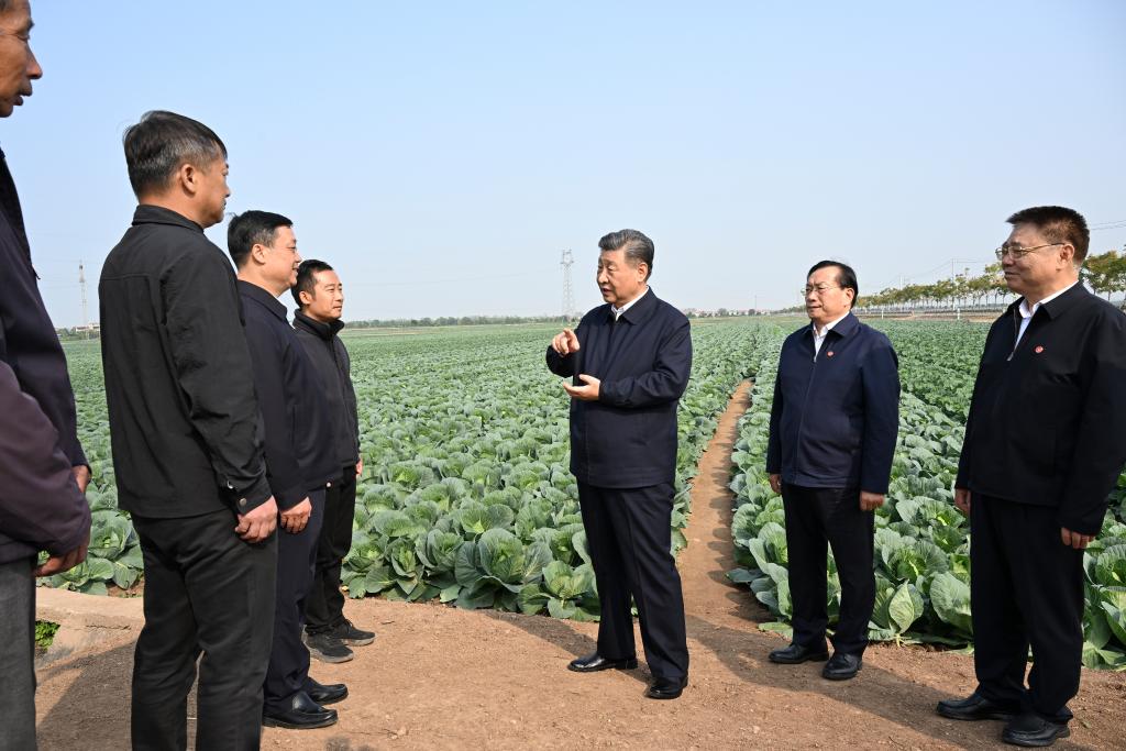 Xi inspecciona provincia central china de Hubei