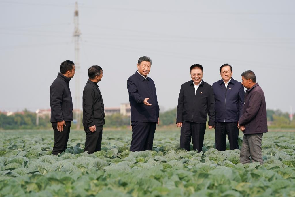 Xi inspecciona provincia central china de Hubei