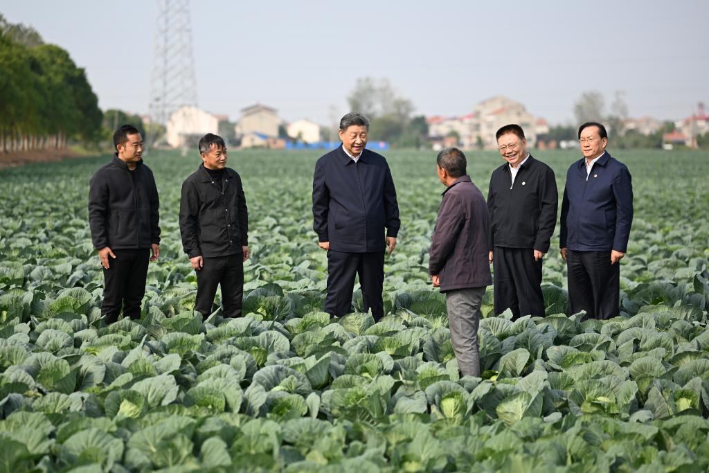 Xi inspecciona provincia central china de Hubei