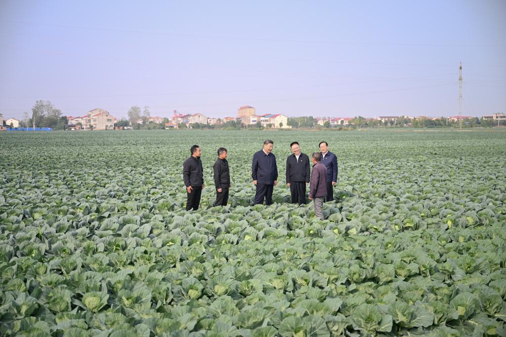 Xi inspecciona provincia central china de Hubei