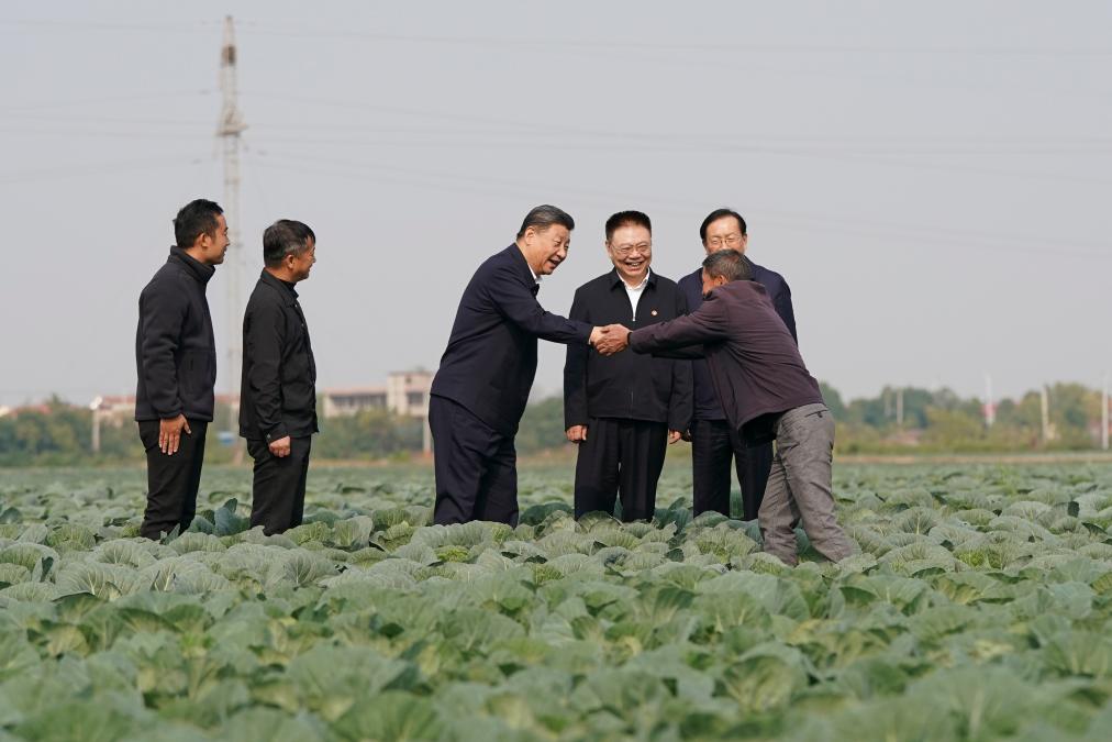 Xi inspecciona provincia central china de Hubei