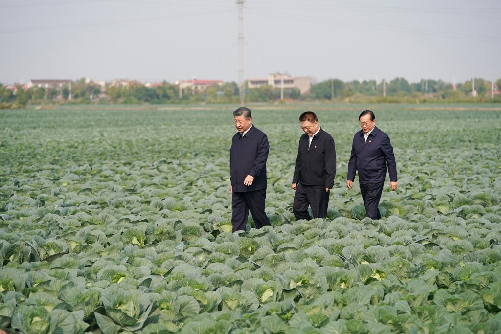 Xi inspecciona provincia central china de Hubei