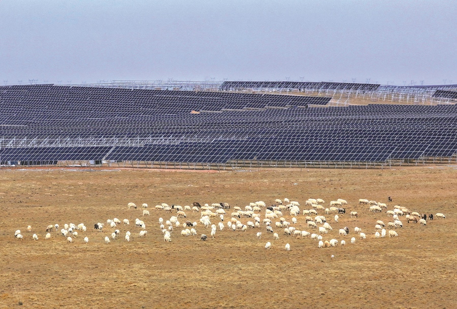 Una planta de generación de energía fotovoltaica se extiende por los pastizales de Otog Front Banner en Ordos, Región Autónoma de Mongolia Interior, noviembre del 2024. (Foto: Wang Zheng/Xinhua)