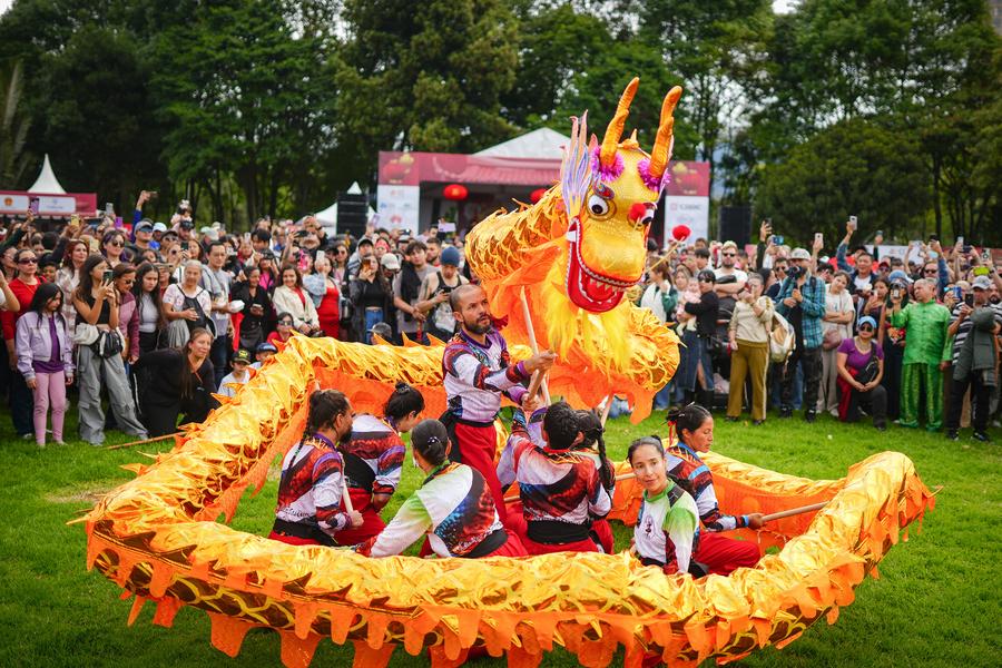 Artistas realizan una presentación de la danza del dragón durante un evento cultural para celebrar el Año Nuevo Lunar chino o Fiesta de la Primavera, en Bogotá, Colombia, el 26 de enero de 2025. (Xinhua/Andrés Moreno)