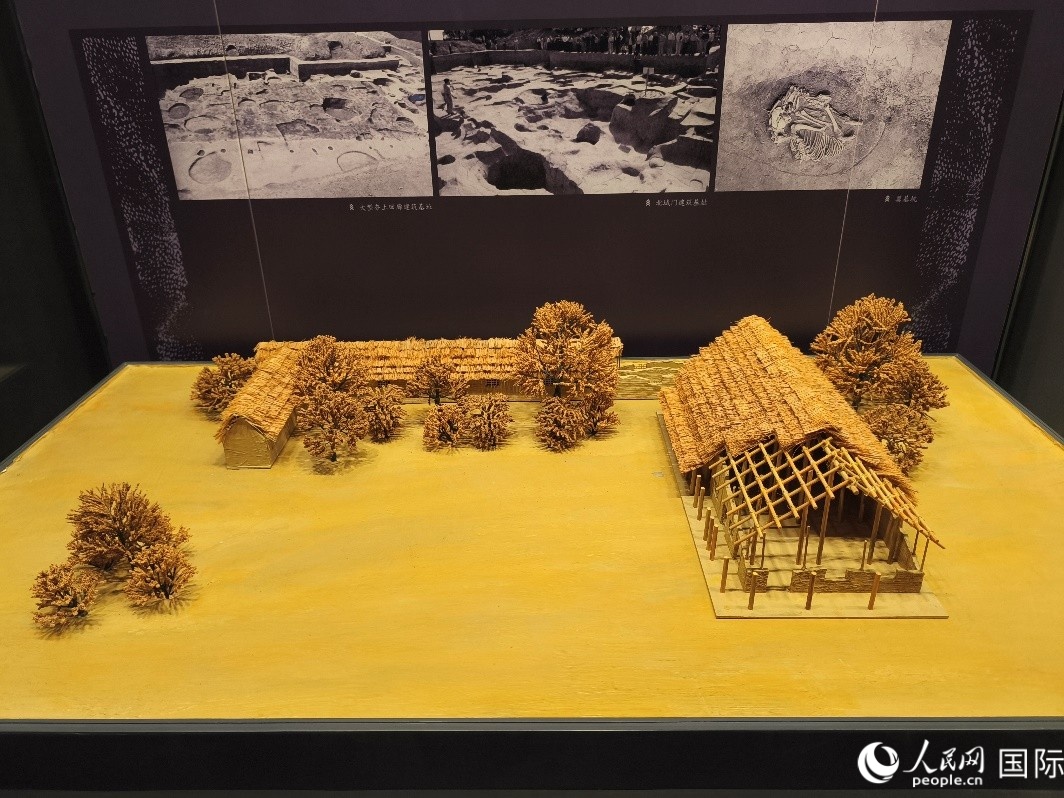 Periodistas euroasiáticos visitan el Museo Erlitou de las Ruinas de la Capital Xia para conocer 
