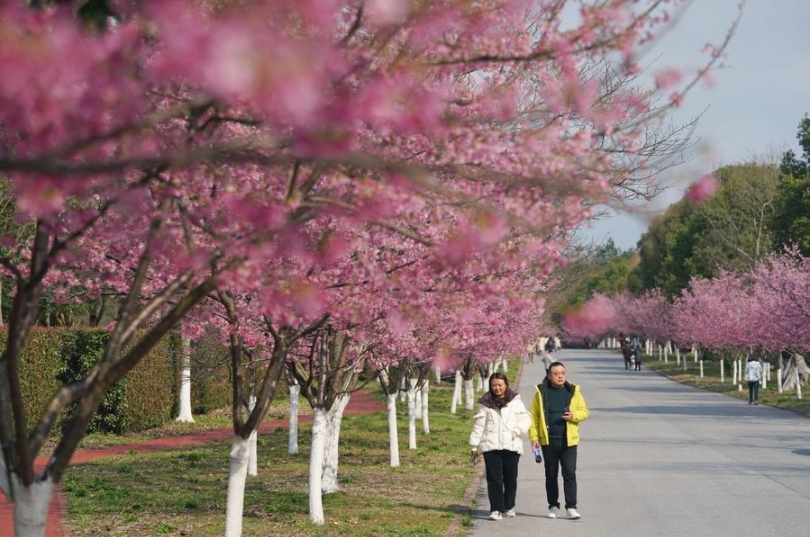 Turistas visitan el área escénica de la montaña Longhu en Yingtan, en la provincia oriental china de Jiangxi, el 6 de marzo de 2025. (Xinhua/Wan Xiang)