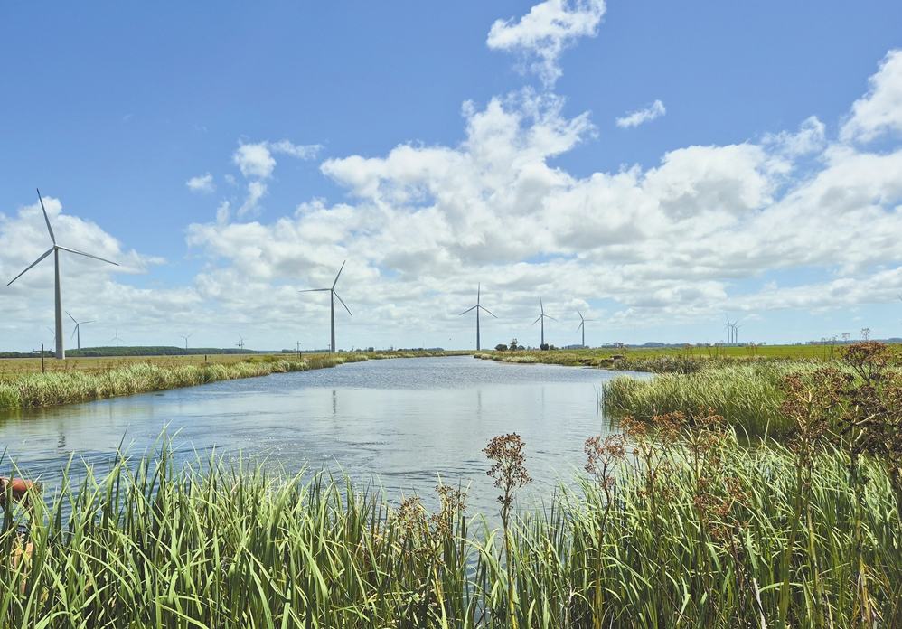 China y LAC trazan un nuevo camino de cooperación en energía verde