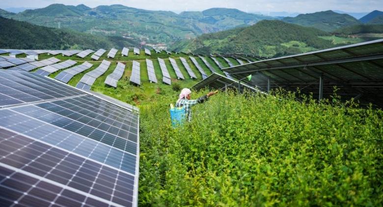 Generación eléctrica de principales empresas de China aumenta 1,7% en junio