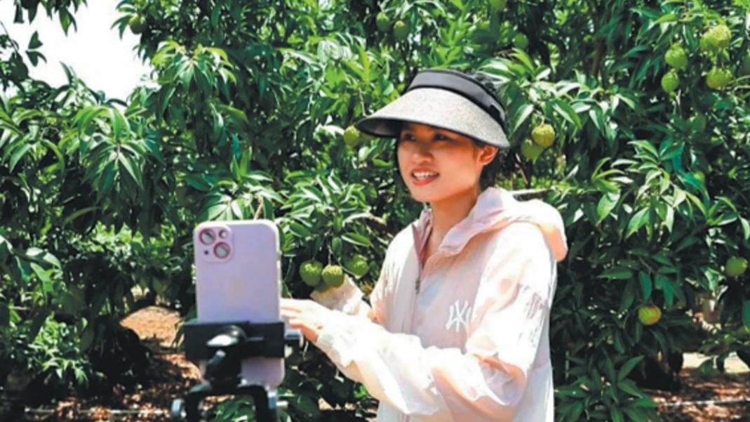 Una cultivadora de lichis disfruta de un gran reconocimiento mundial
