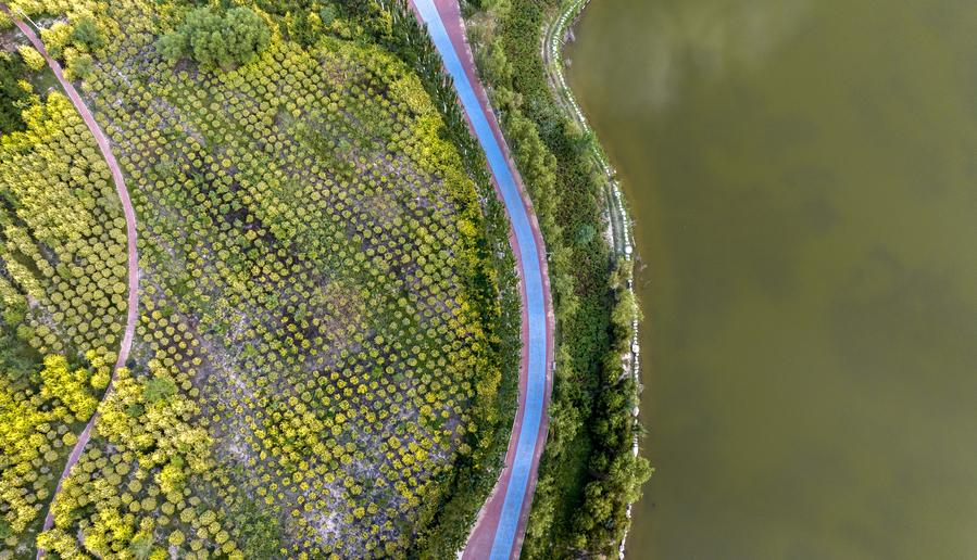 China presenta plan de promoción de un medio ambiente saludable para 2025-2030