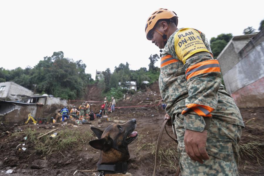 Un elemento del Ejército mexicano y un binomio canino se preparan para realizar trabajos de búsqueda en una zona de un deslizamiento de tierra causado por las lluvias, en Huauchinango, en el estado de Puebla, México, el 13 de octubre de 2025. (Xinhua/Francisco Cañedo) 