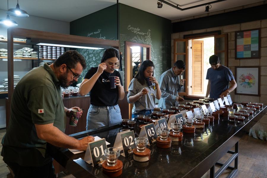 Trabajadores realizan una cata de café en una finca cafetera del "Cerrado Mineiro", una región productora de café en el estado brasileño de Minas Gerais, el 26 de agosto de 2025. (Xinhua/Wang Tiancong)
