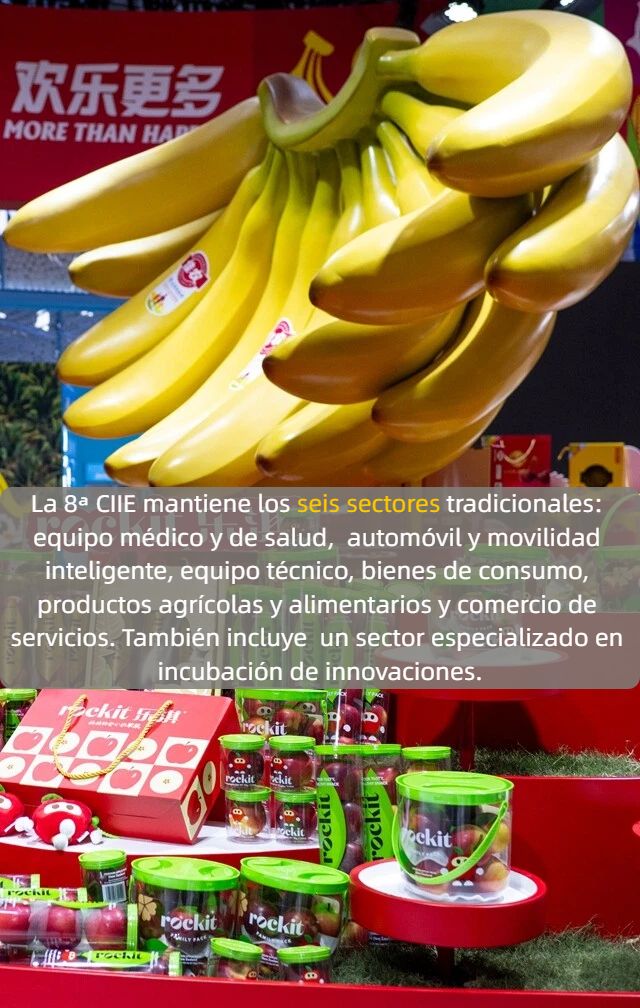 Nuevo récord de escala: 9 puntos destacados de la 8ª CIIE