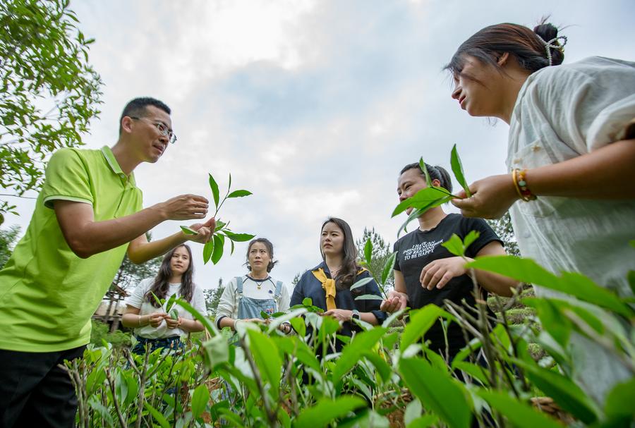 Raíces culturales impulsan economías distritales distintivas en China, según informe