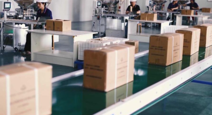 Innovación en bambú impulsa el desarrollo bajo en carbono de Anhui