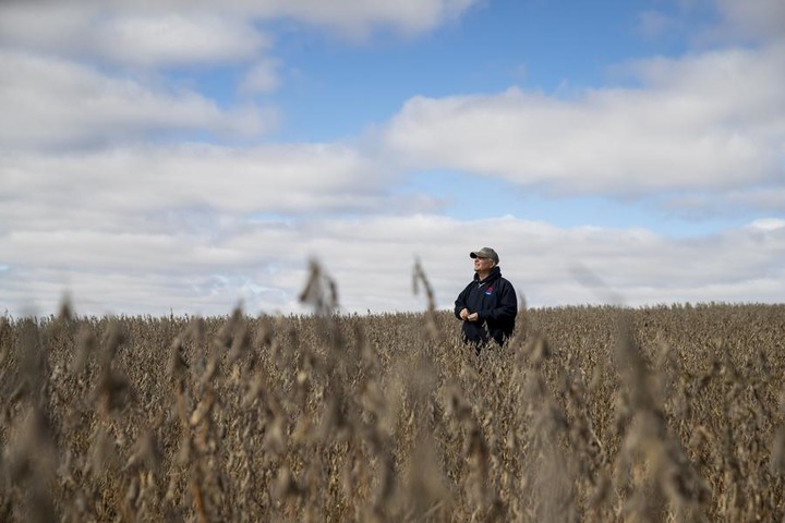EE. UU. da a conocer paquete de ayuda para agricultores afectados por políticas arancelarias