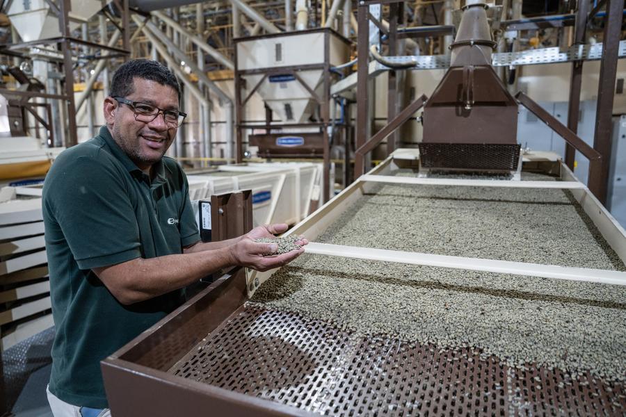 Exportaciones de café de Brasil a China aumentan 30,42% en 2025