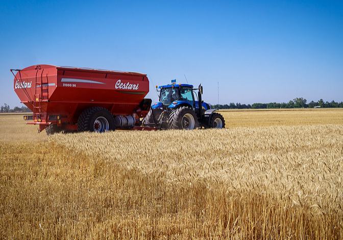 China importa su primer cargamento a granel de trigo argentino