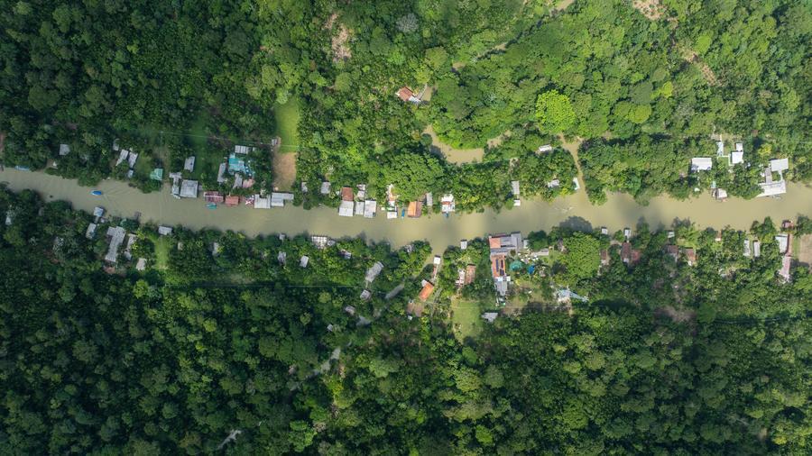 Brasil aprueba plan climático para cumplir objetivos del Acuerdo de París