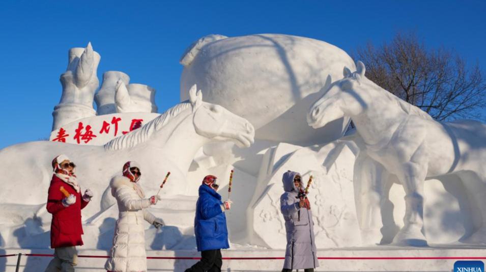 La 38 Exposición Internacional de Arte de Esculturas de Nieve de la Isla del Sol en Harbin