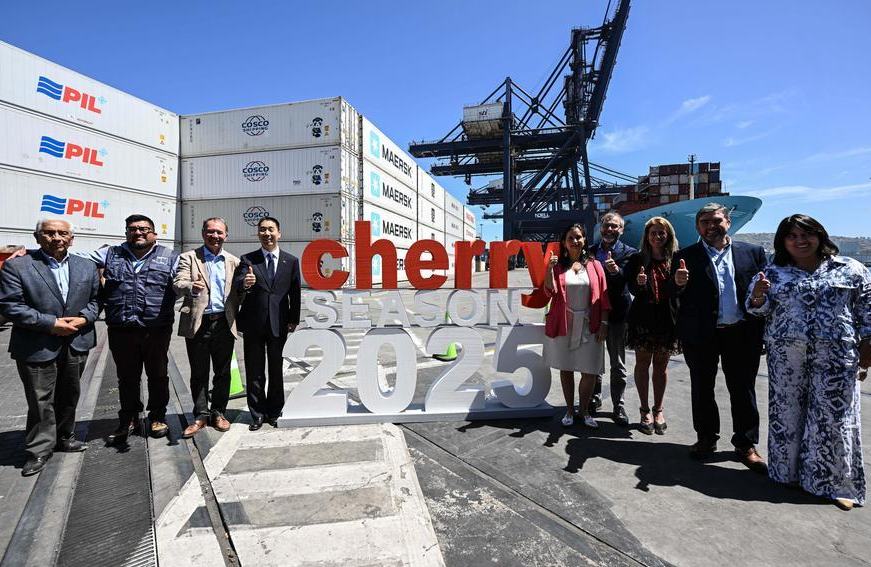 Cerezas chilenas, un símbolo festivo que se ha convertido en producto de amplio consumo en China