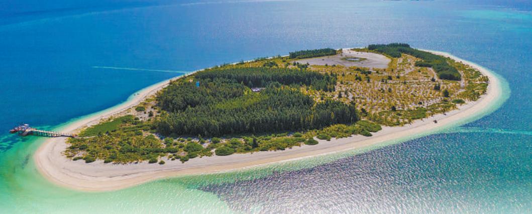 Reverdeciendo un arrecife: la silenciosa recuperación ecológica de Xishazhou en Hainan